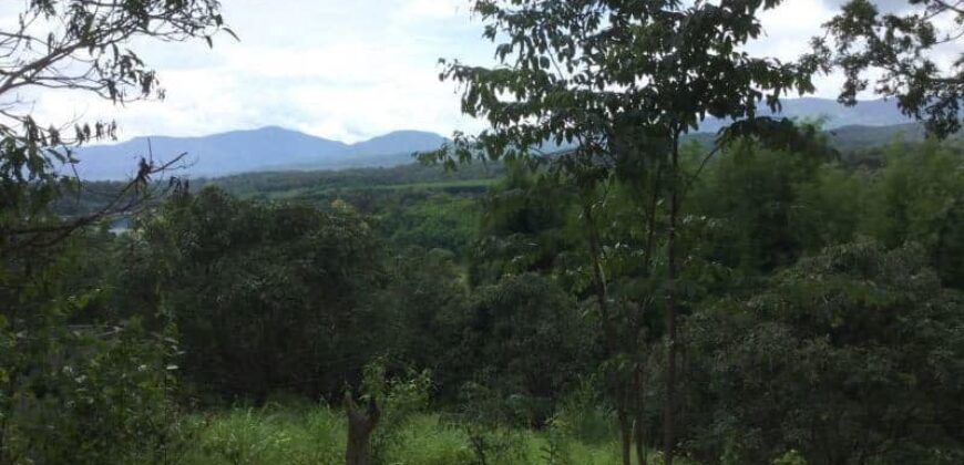 ที่ดิน สวนลำไยวิวดอย ต.สะลวง อ.แม่ริม