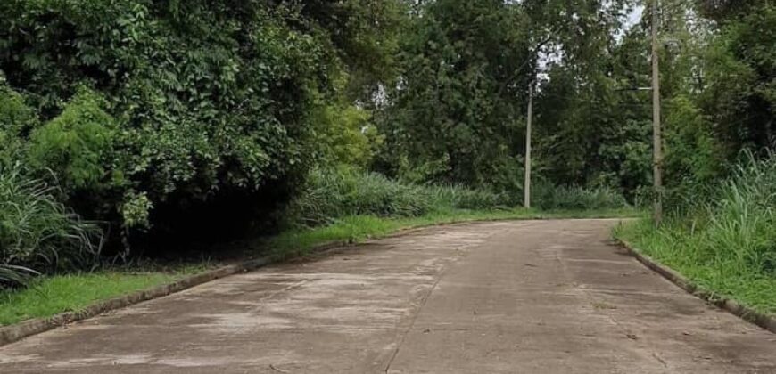 ที่ดินในโครงการเชียงใหม่เลคแลนด์ ต.สุเทพ อ.เมืองเชียงใหม่