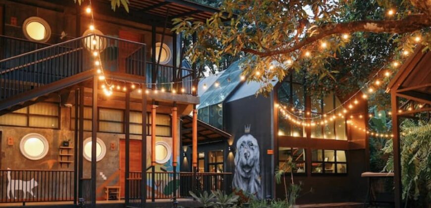 Hotel for Sale, Nordic Style at Jed Yod, Chang Phuak Near Maya Mall.