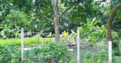ที่ดินทำเลดี ต.ช้างเผือก อ.เมืองเชียงใหม่ ใกล้มหาวิทยาลัยเชียงใหม่